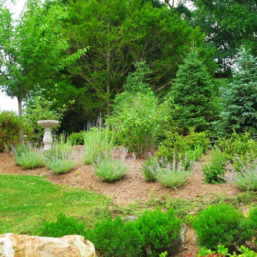 “Vasilka D. Bukov is the premier landscape artist in the Greenwich Connecticut
& the surrounding counties.
Equally comfortable working directly for clients as well as for Architects, Developers & Real Estate Professionals.
A wholly woman-owned business with a long list of satisfied clients, she is sure to meet your specifications”