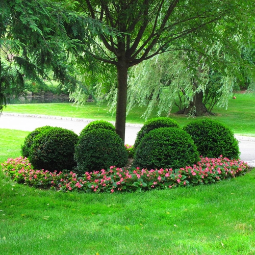 “Vasilka D. Bukov is the premier landscape artist in the Greenwich Connecticut
& the surrounding counties.
Equally comfortable working directly for clients as well as for Architects, Developers & Real Estate Professionals.
A wholly woman-owned business with a long list of satisfied clients, she is sure to meet your specifications”